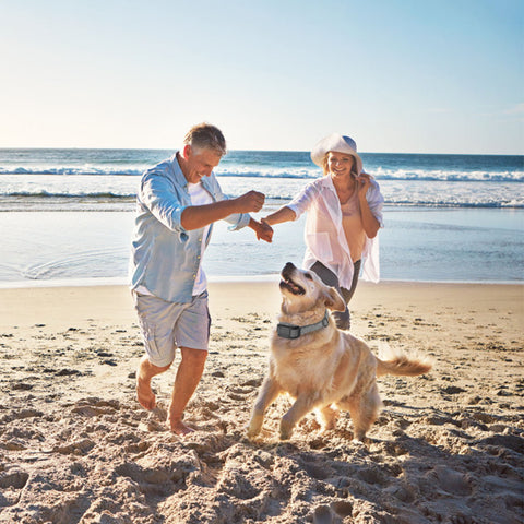 Citronella Bark Collar for Dogs – Anti-Barking Spray, Waterproof